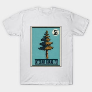 No.56 Interior Grand Fir T-Shirt